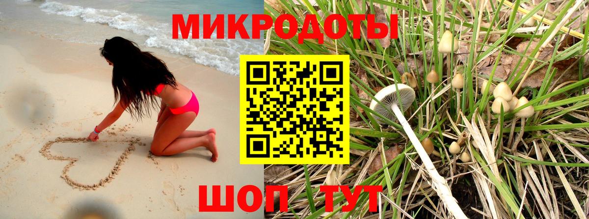 Псилоцибиновые грибы ЛСД Анжеро-Судженск